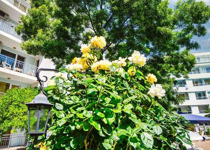 Yassen Village 3* Sunny Beach