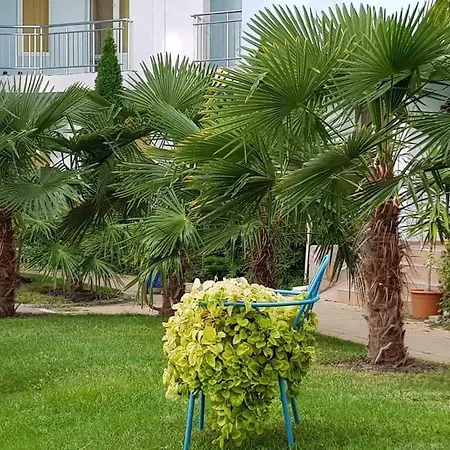 Aparthotel Yassen Holiday Village