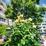 Yassen Village 3* Sluneční pobřeží
